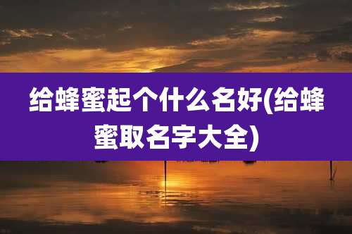 给蜂蜜起个什么名好(给蜂蜜取名字大全)