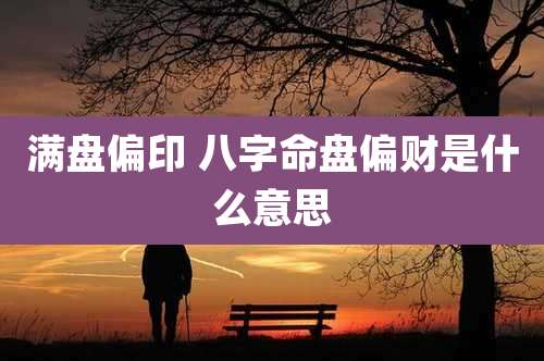 满盘偏印 八字命盘偏财是什么意思