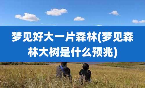 梦见好大一片森林(梦见森林大树是什么预兆)