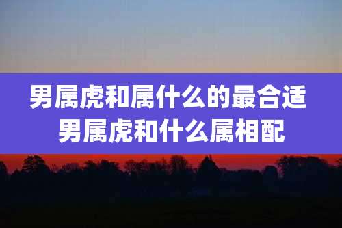 男属虎和属什么的最合适 男属虎和什么属相配