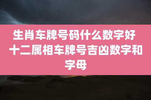 生肖车牌号码什么数字好 十二属相车牌号吉凶数字和字母