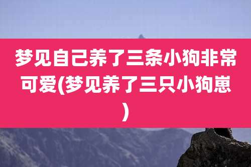 梦见自己养了三条小狗非常可爱(梦见养了三只小狗崽)