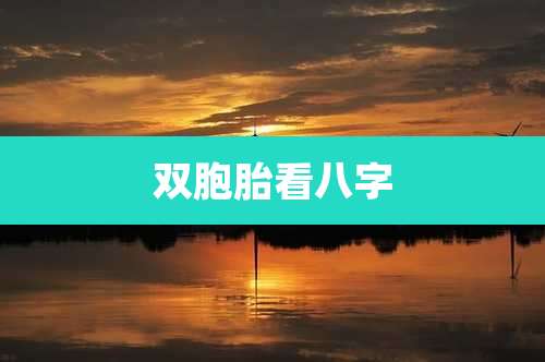 双胞胎看八字