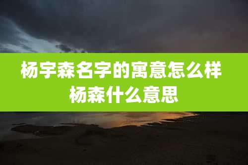 杨宇森名字的寓意怎么样 杨森什么意思