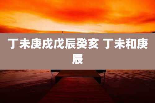 丁未庚戌戊辰癸亥 丁未和庚辰