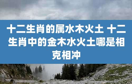 十二生肖的属水木火土 十二生肖中的金木水火土哪是相克相冲