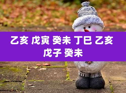 乙亥 戊寅 癸未 丁巳 乙亥 戊子 癸未