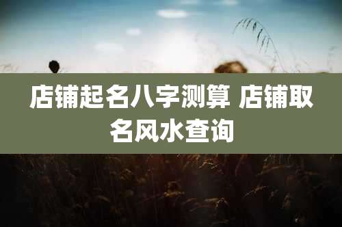 店铺起名八字测算 店铺取名风水查询