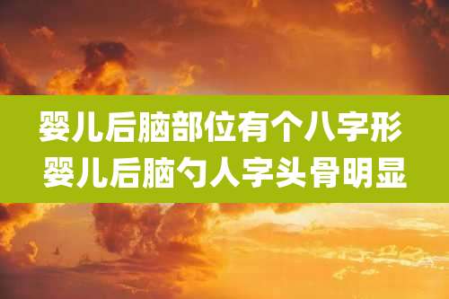 婴儿后脑部位有个八字形 婴儿后脑勺人字头骨明显