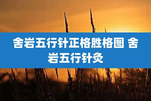 舍岩五行针正格胜格图 舍岩五行针灸