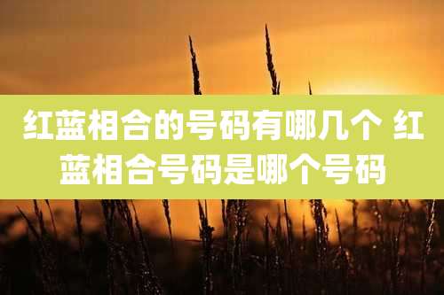 红蓝相合的号码有哪几个 红蓝相合号码是哪个号码