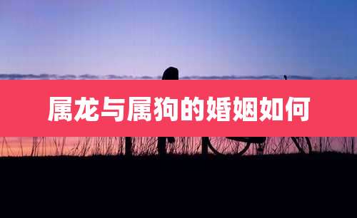 属龙与属狗的婚姻如何