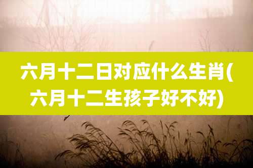 六月十二日对应什么生肖(六月十二生孩子好不好)
