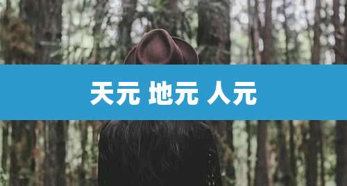 天元 地元 人元