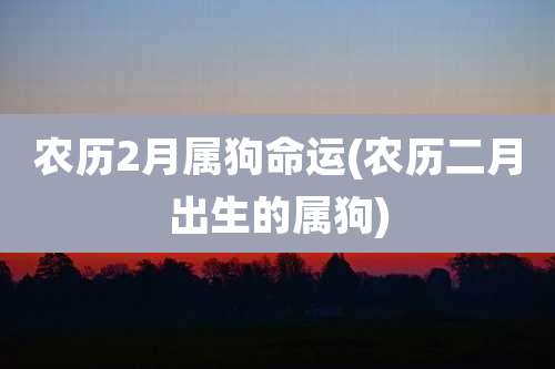 农历2月属狗命运(农历二月出生的属狗)