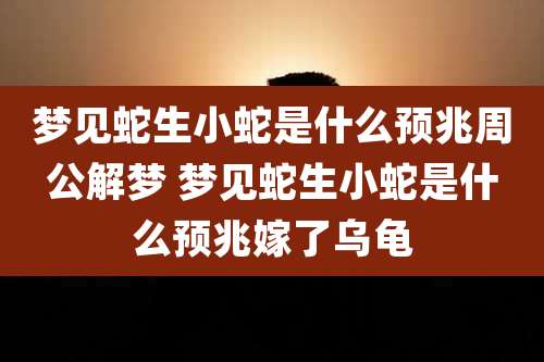 梦见蛇生小蛇是什么预兆周公解梦 梦见蛇生小蛇是什么预兆嫁了乌龟