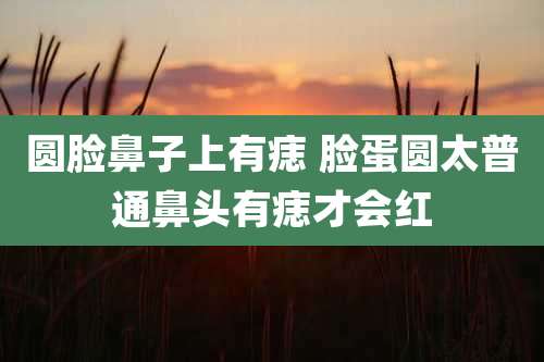 圆脸鼻子上有痣 脸蛋圆太普通鼻头有痣才会红