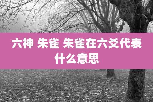 六神 朱雀 朱雀在六爻代表什么意思