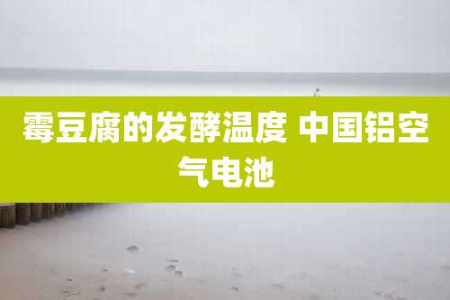 霉豆腐的发酵温度 中国铝空气电池