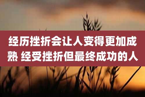 经历挫折会让人变得更加成熟 经受挫折但最终成功的人