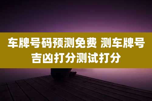 车牌号码预测免费 测车牌号吉凶打分测试打分