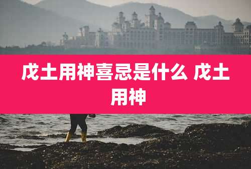 戊土用神喜忌是什么 戊土 用神