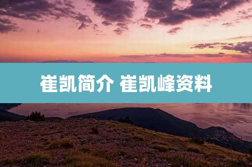 崔凯简介 崔凯峰资料