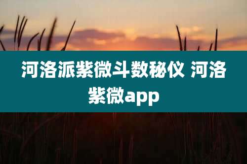 河洛派紫微斗数秘仪 河洛紫微app