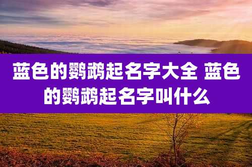 蓝色的鹦鹉起名字大全 蓝色的鹦鹉起名字叫什么