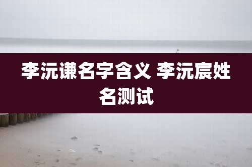 李沅谦名字含义 李沅宸姓名测试