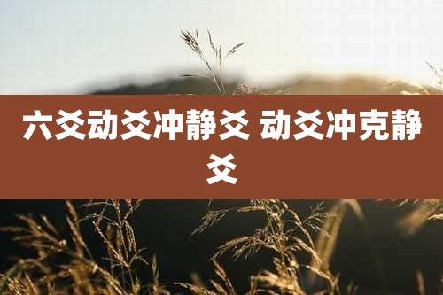 六爻动爻冲静爻 动爻冲克静爻