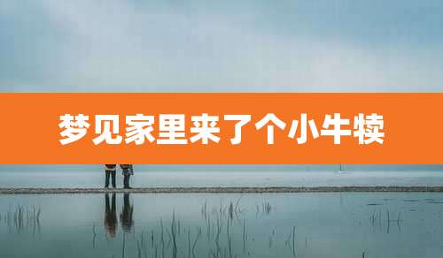 梦见家里来了个小牛犊