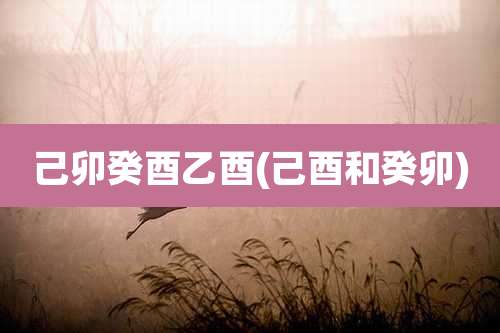 己卯癸酉乙酉(己酉和癸卯)