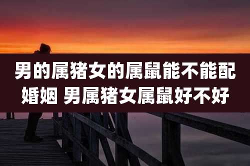 男的属猪女的属鼠能不能配婚姻 男属猪女属鼠好不好