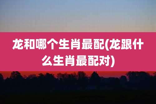 龙和哪个生肖最配(龙跟什么生肖最配对)