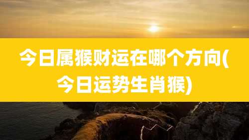 今日属猴财运在哪个方向(今日运势生肖猴)