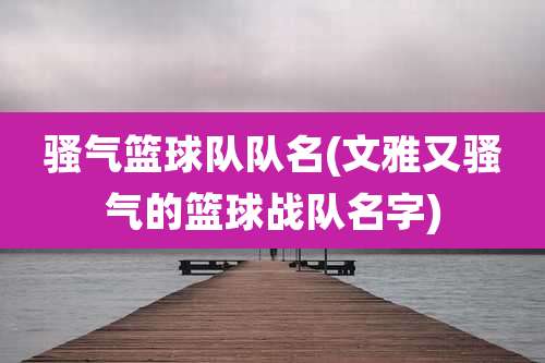 骚气篮球队队名(文雅又骚气的篮球战队名字)