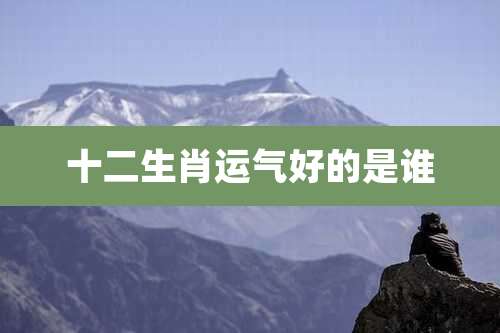 十二生肖运气好的是谁