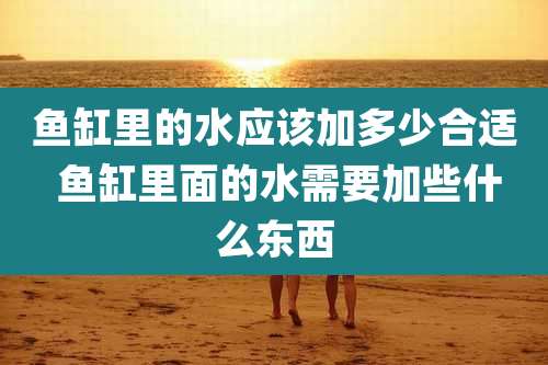 鱼缸里的水应该加多少合适 鱼缸里面的水需要加些什么东西