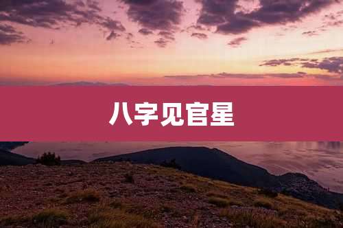 八字见官星
