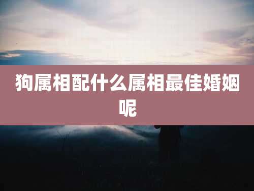 狗属相配什么属相最佳婚姻呢