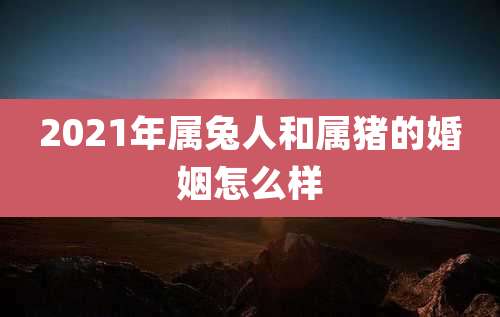 2021年属兔人和属猪的婚姻怎么样