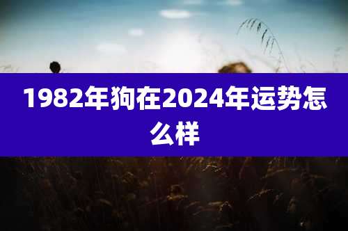 1982年狗在2024年运势怎么样