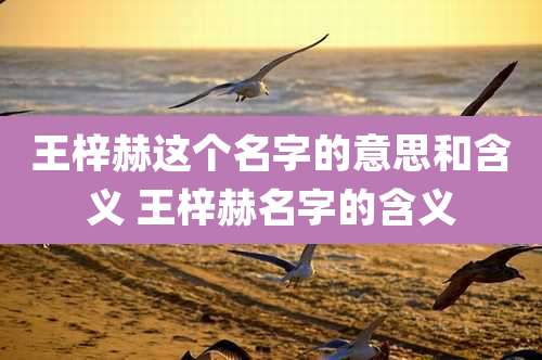 王梓赫这个名字的意思和含义 王梓赫名字的含义