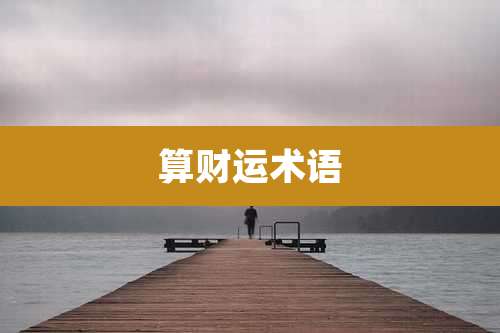 算财运术语