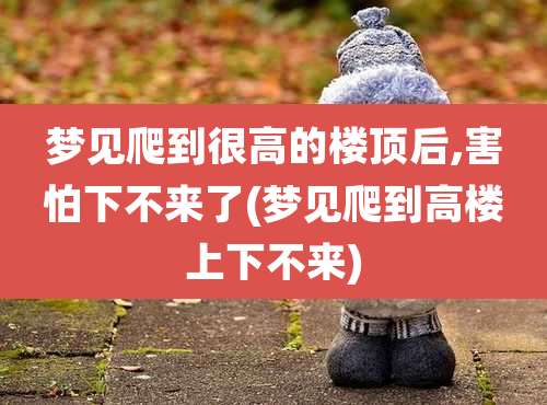 梦见爬到很高的楼顶后,害怕下不来了(梦见爬到高楼上下不来)
