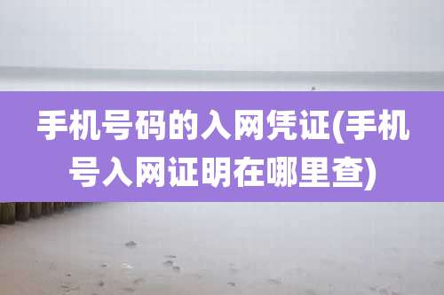 手机号码的入网凭证(手机号入网证明在哪里查)