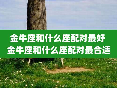 金牛座和什么座配对最好 金牛座和什么座配对最合适