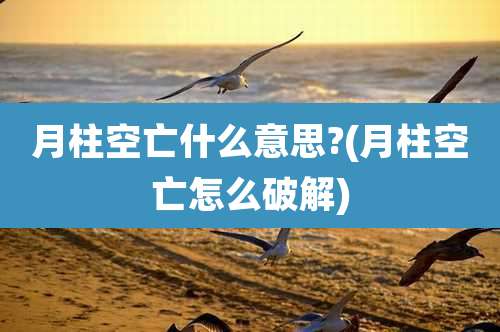 月柱空亡什么意思?(月柱空亡怎么破解)