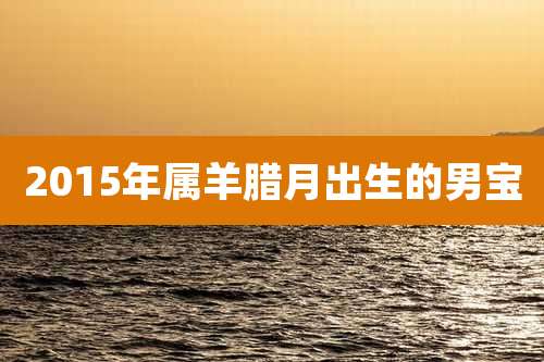 2015年属羊腊月出生的男宝